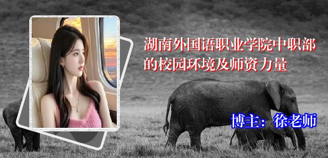 湖南外国语职业学院中职部的校园环境及师资力量