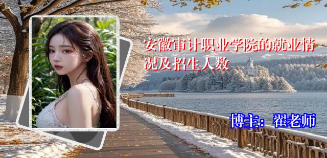 安徽审计职业学院的就业情况及招生人数