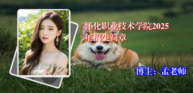 怀化职业技术学院2025年招生简章
