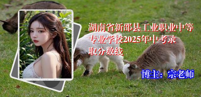 湖南省新邵县工业职业中等专业学校2025年中考录取分数线