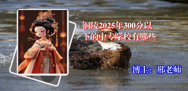 铜陵2025年300分以下的中专学校有哪些