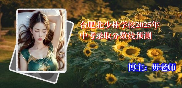合肥北少林学校2025年中考录取分数线预测