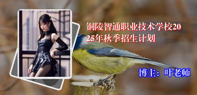 铜陵智通职业技术学校2025年秋季招生计划