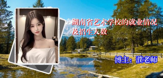 湖南省艺术学校的就业情况及招生人数