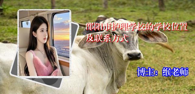 邵阳市护理学校的学校位置及联系方式