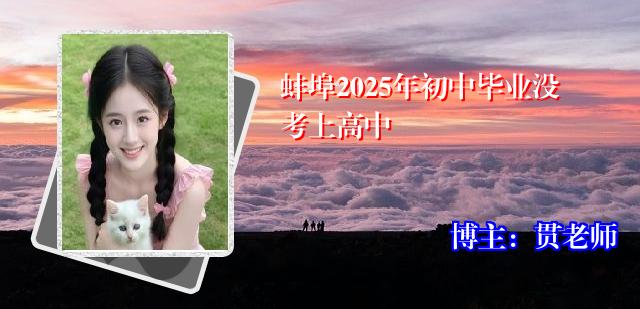 蚌埠2025年初中毕业没考上高中