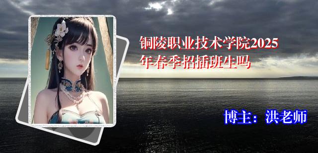 铜陵职业技术学院2025年春季招插班生吗