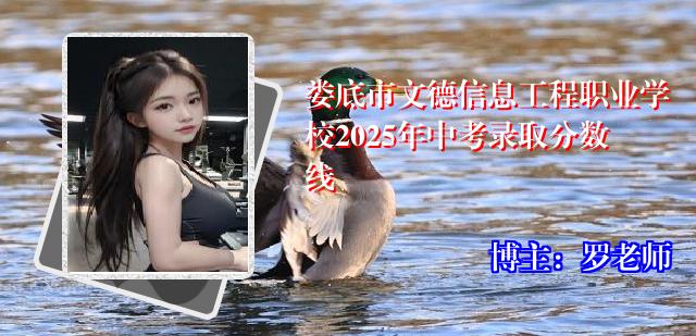 娄底市文德信息工程职业学校2025年中考录取分数线