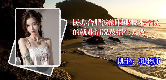 民办合肥滨湖职业技术学院的就业情况及招生人数
