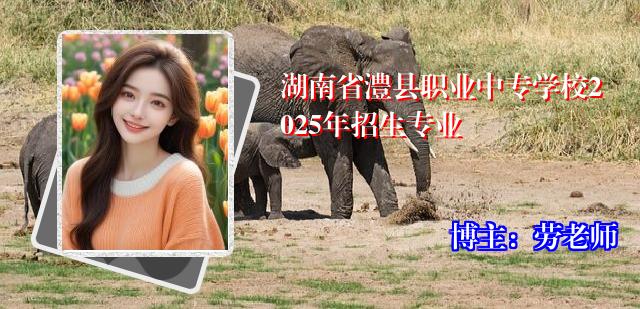 湖南省澧县职业中专学校2025年招生专业