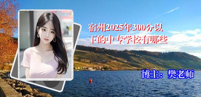 宿州2025年300分以下的中专学校有哪些