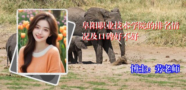 阜阳职业技术学院的排名情况及口碑好不好
