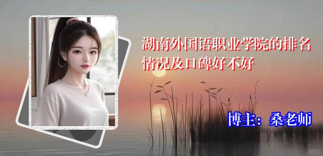 湖南外国语职业学院的排名情况及口碑好不好