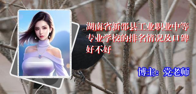 湖南省新邵县工业职业中等专业学校的排名情况及口碑好不好