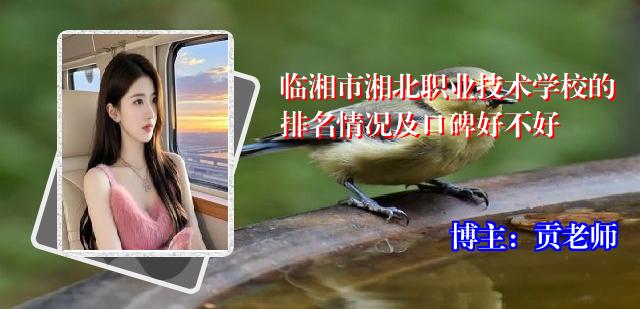 临湘市湘北职业技术学校的排名情况及口碑好不好
