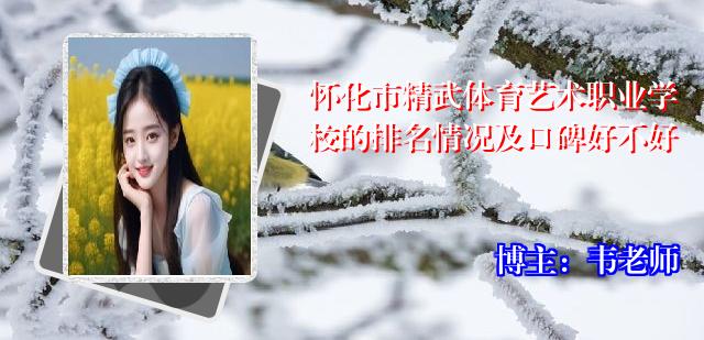 怀化市精武体育艺术职业学校的排名情况及口碑好不好