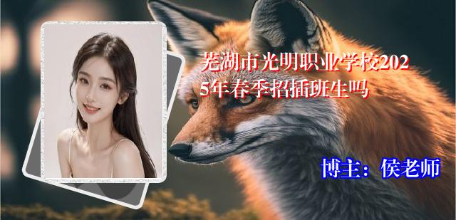 芜湖市光明职业学校2025年春季招插班生吗