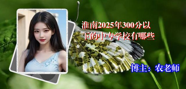 淮南2025年300分以下的中专学校有哪些