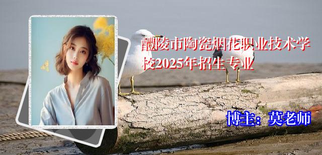 醴陵市陶瓷烟花职业技术学校2025年招生专业