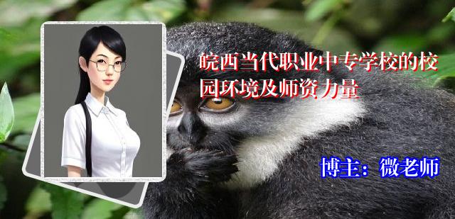 皖西当代职业中专学校的校园环境及师资力量