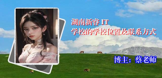 湖南新睿 IT 学校的学校位置及联系方式