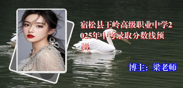 宿松县王岭高级职业中学2025年中考录取分数线预测