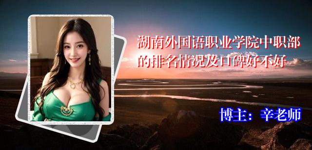 湖南外国语职业学院中职部的排名情况及口碑好不好
