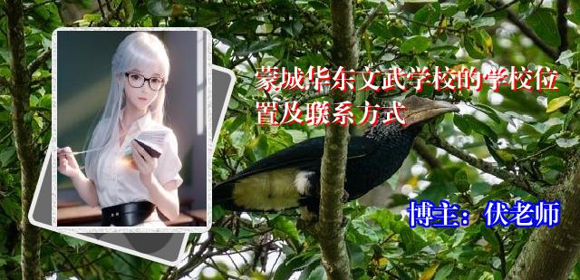 蒙城华东文武学校的学校位置及联系方式