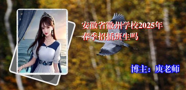 安徽省徽州学校2025年春季招插班生吗