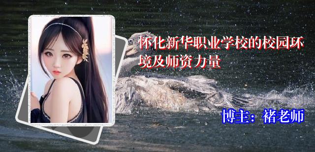 怀化新华职业学校的校园环境及师资力量