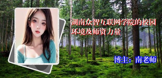 湖南众智互联网学院的校园环境及师资力量