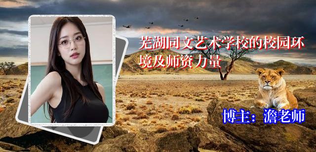 芜湖同文艺术学校的校园环境及师资力量