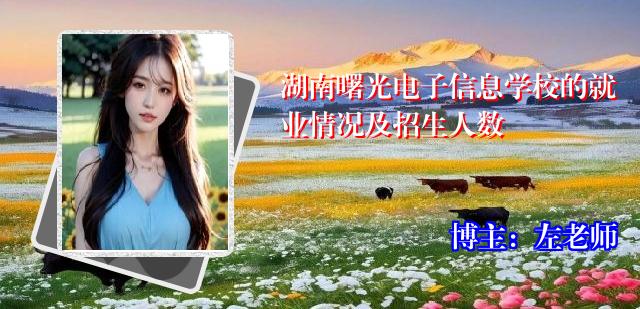 湖南曙光电子信息学校的就业情况及招生人数