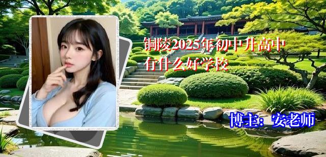 铜陵2025年初中升高中有什么好学校
