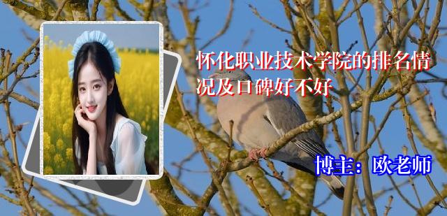 怀化职业技术学院的排名情况及口碑好不好