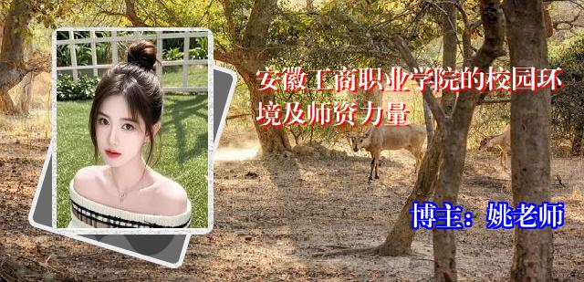 安徽工商职业学院的校园环境及师资力量