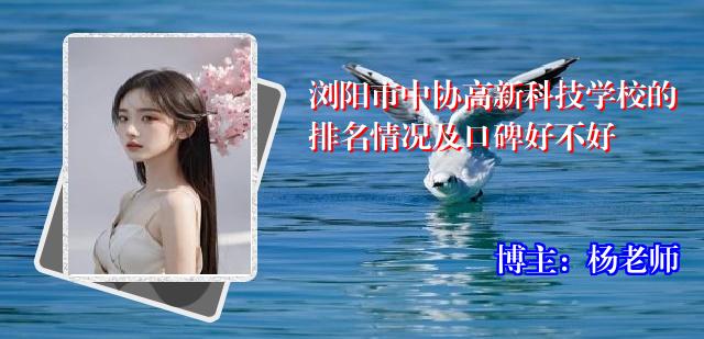浏阳市中协高新科技学校的排名情况及口碑好不好