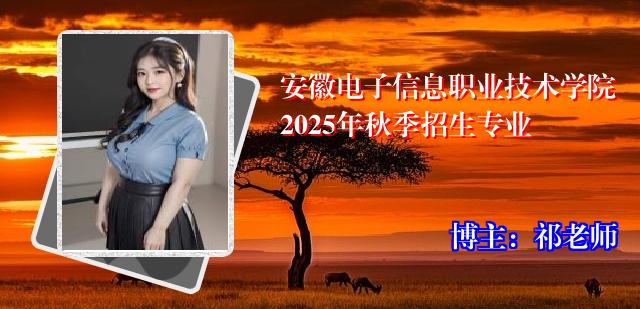 安徽电子信息职业技术学院2025年秋季招生专业