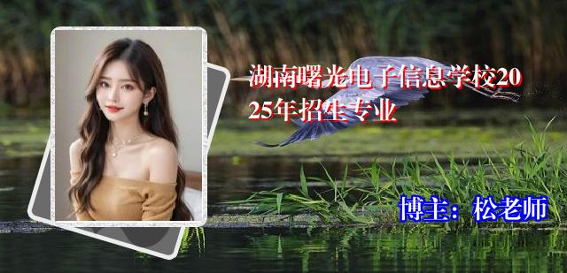 湖南曙光电子信息学校2025年招生专业