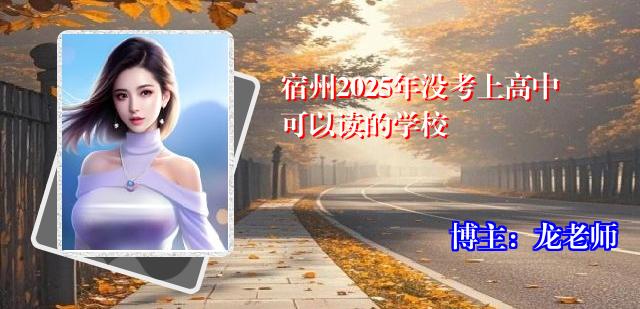 宿州2025年没考上高中可以读的学校