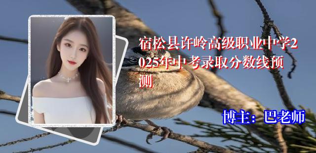 宿松县许岭高级职业中学2025年中考录取分数线预测