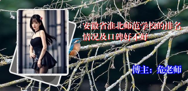 安徽省淮北师范学校的排名情况及口碑好不好
