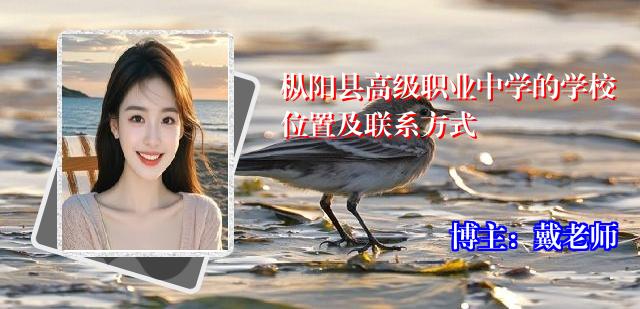 枞阳县高级职业中学的学校位置及联系方式