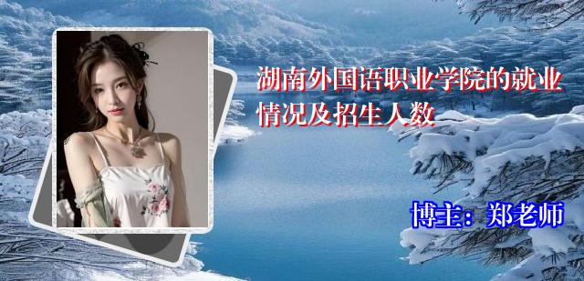湖南外国语职业学院的就业情况及招生人数