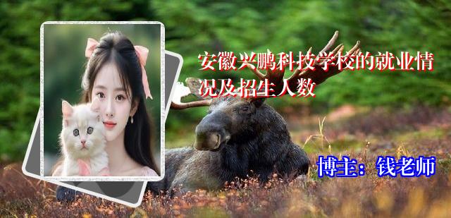 安徽兴鹏科技学校的就业情况及招生人数