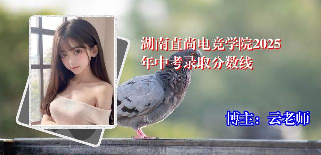 湖南直尚电竞学院2025年中考录取分数线