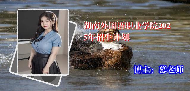 湖南外国语职业学院2025年招生计划