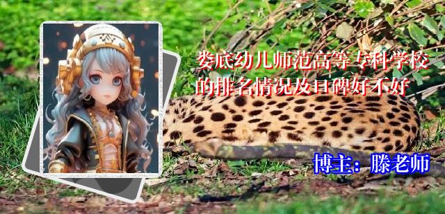 娄底幼儿师范高等专科学校的排名情况及口碑好不好