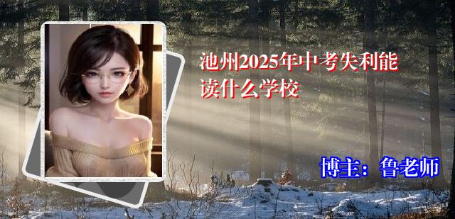 池州2025年中考失利能读什么学校
