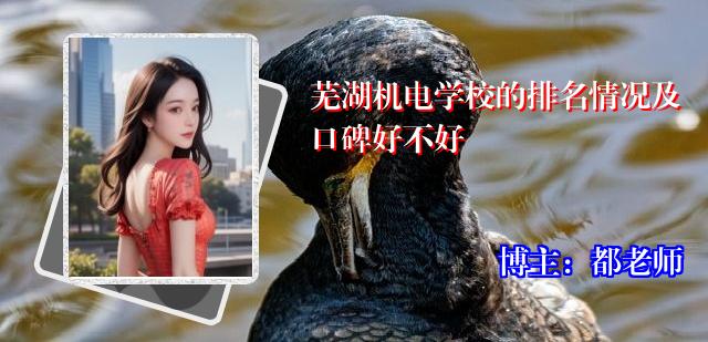 芜湖机电学校的排名情况及口碑好不好